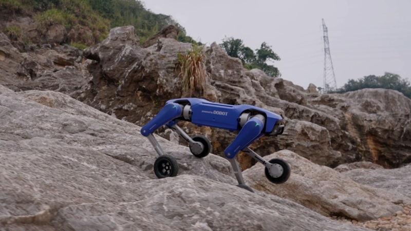 Primo piano di Rover X1