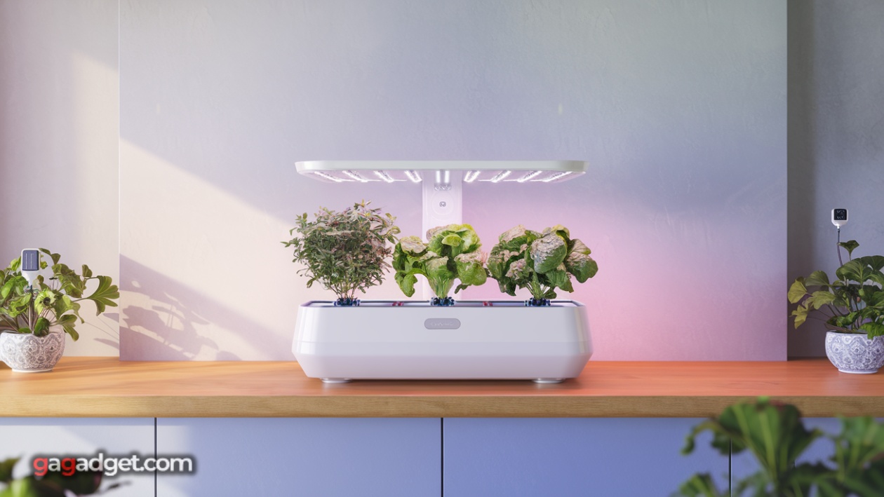 Gadget intelligenti per genitori di piante in 2025 Gadget intelligenti per genitori di piante in 2025