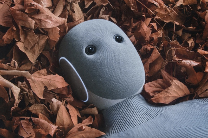 NEO Home Robot nell'interior NEO Home Robot nell'interior