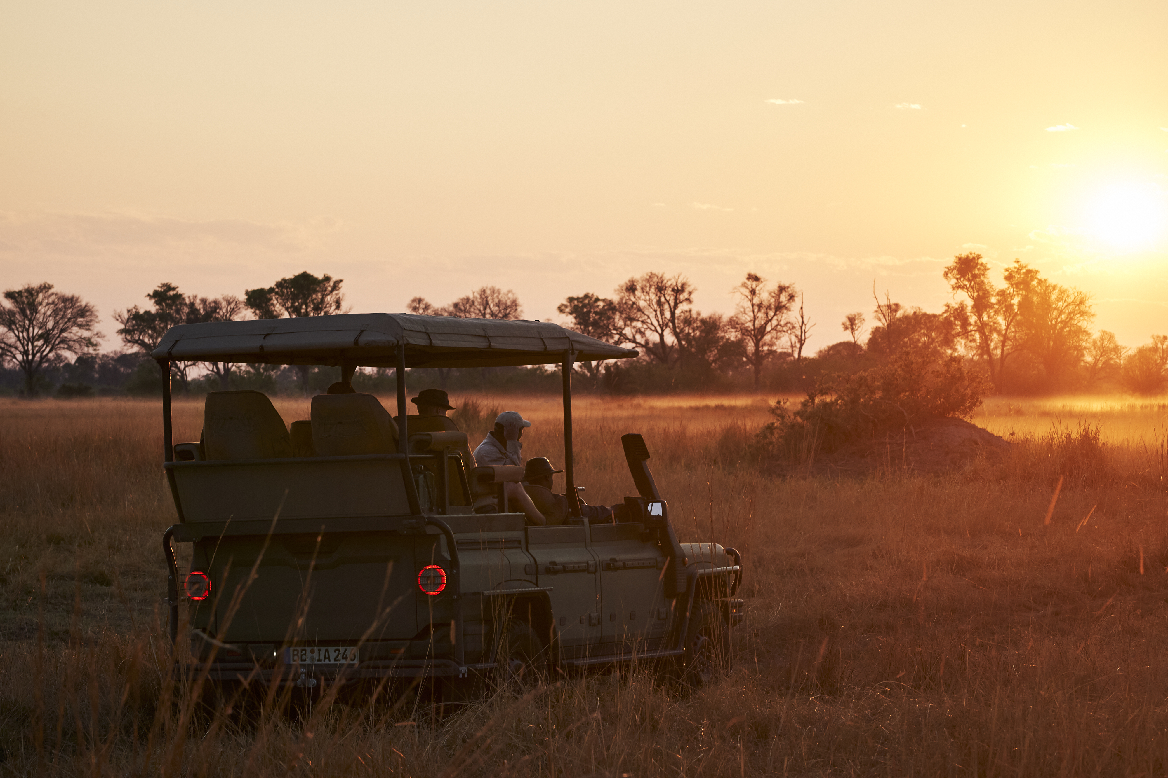 Dettagli interni del Grenadier Game Viewer