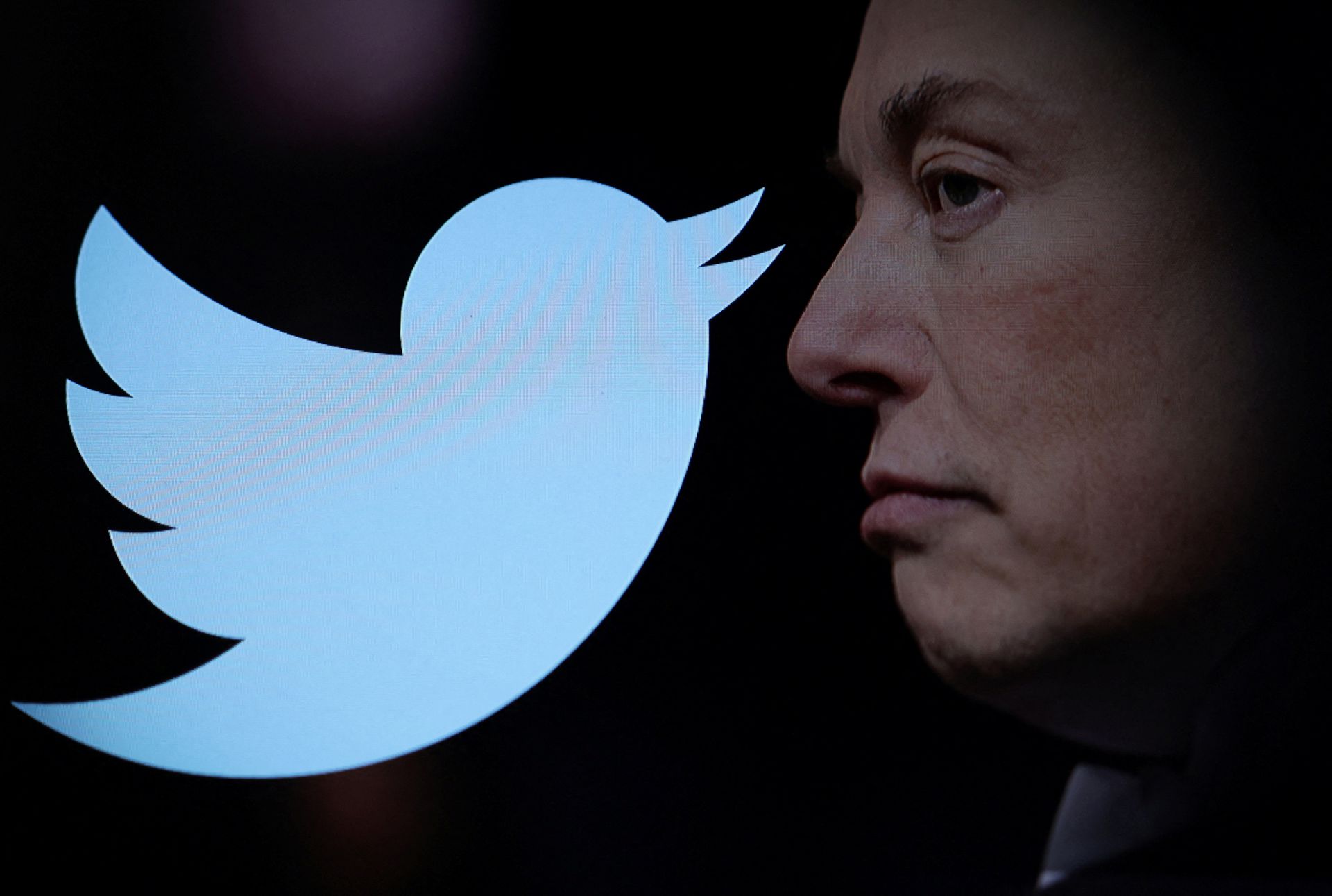 Elon Musk ha acquistato Twitter per 44 miliardi di dollari e ha immediatamente licenziato il precedente management Elon Musk ha acquistato Twitter per 44 miliardi di dollari e ha immediatamente licenziato il precedente management