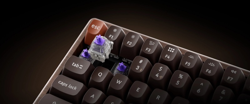 Keychron K2 HE All-Wood Special Edition - visuale 1