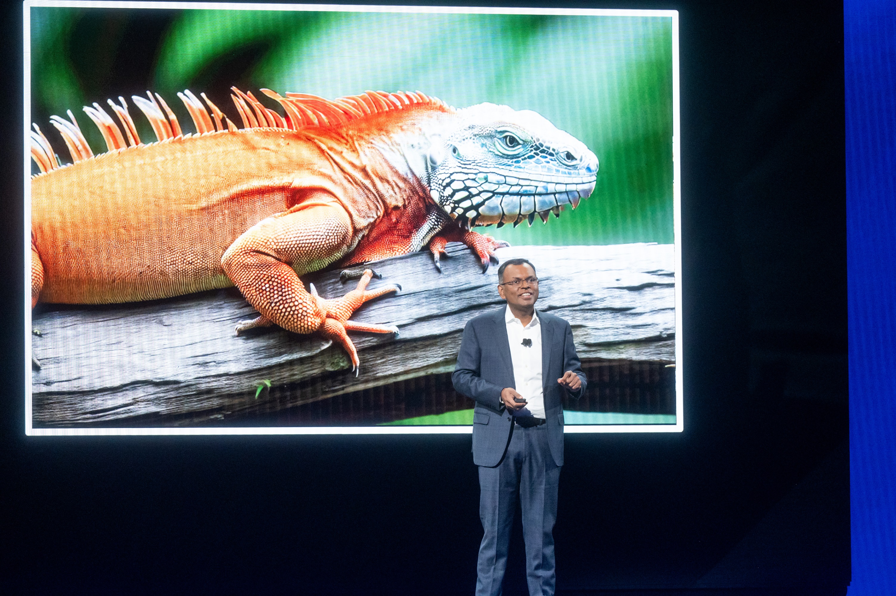 Amazon ha presentato Titan, un generatore di immagini alimentato dall'intelligenza artificiale Amazon ha presentato Titan, un generatore di immagini alimentato dall'intelligenza artificiale