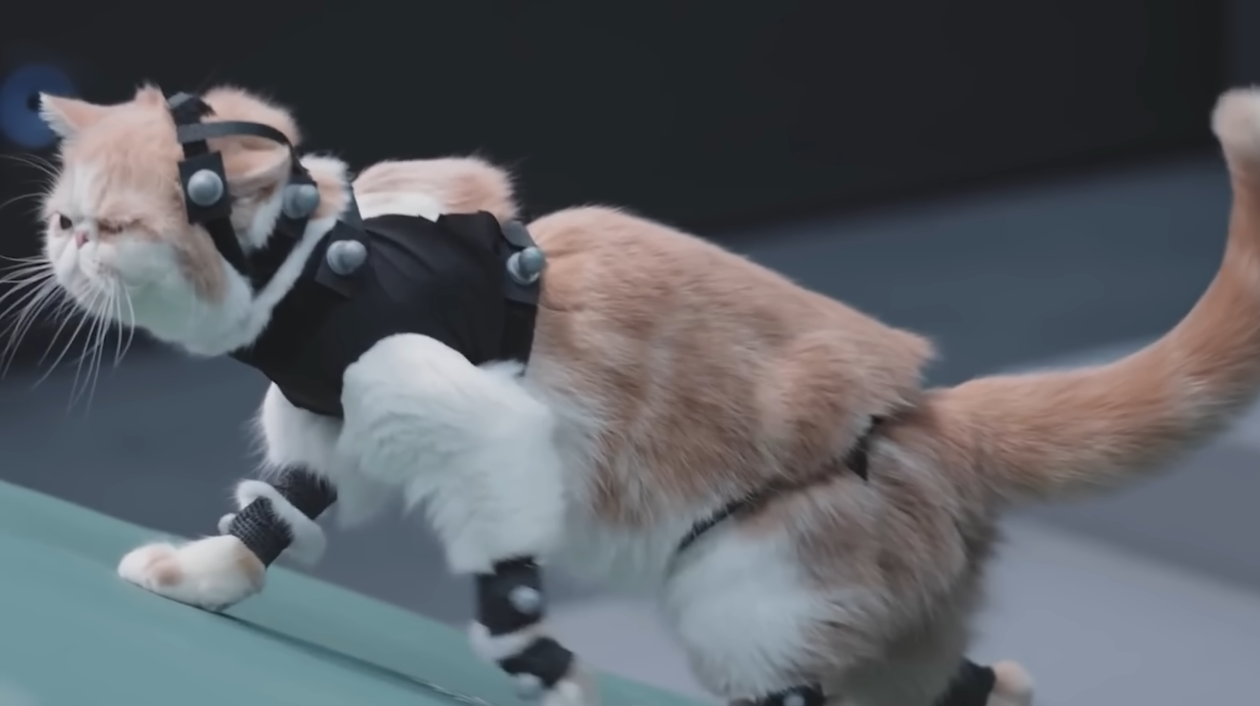 La storia di Stray: come un gatto di una cybercittà è diventato la scoperta dell'anno e ha influenzato l'industria dei videogiochi-76 La storia di Stray: come un gatto di una cybercittà è diventato la scoperta dell'anno e ha influenzato l'industria dei videogiochi-76