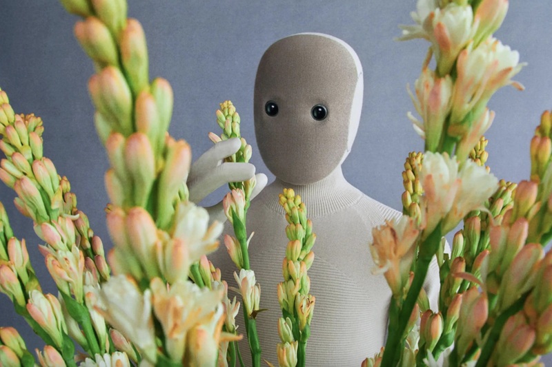 Funzionalità del NEO Home Robot Funzionalità del NEO Home Robot